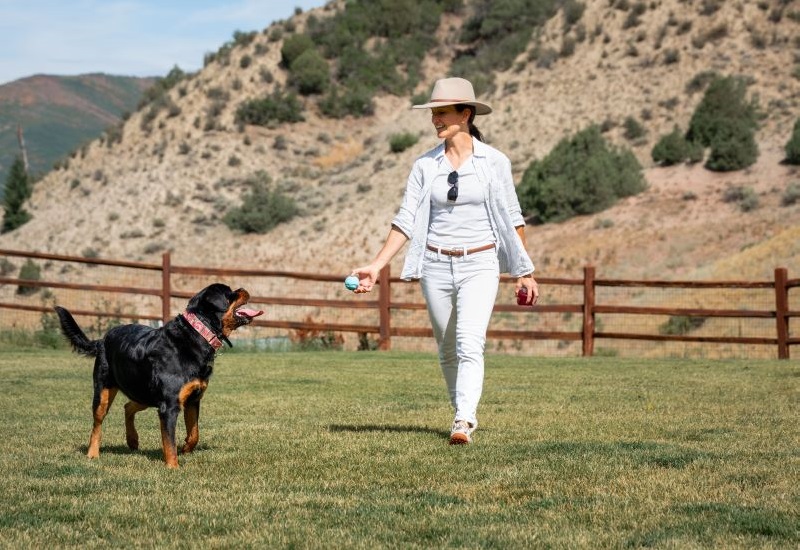 a dog and a person at the dog park